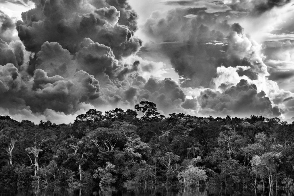 A black and white photo by Sebastião Salgado of the Amazon. The photo is of a landscape of trees and a swirl of clouds in the sky.
