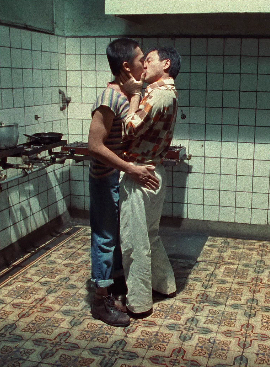 A photo still from Happy Together showing the two lead characters kissing while standing in a kitchen.
