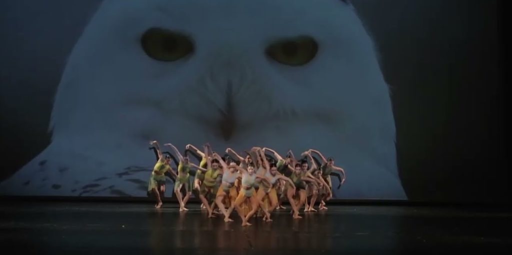 A photo of the Körper Dance group onstage performing Mother Nature. Approximately 12 dancers are in a triangle formation onstage, with an image of an owl projected onto the back screen.